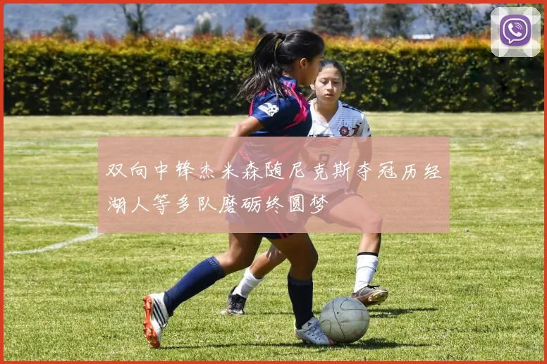 双向中锋杰米森随尼克斯夺冠历经湖人等多队磨砺终圆梦